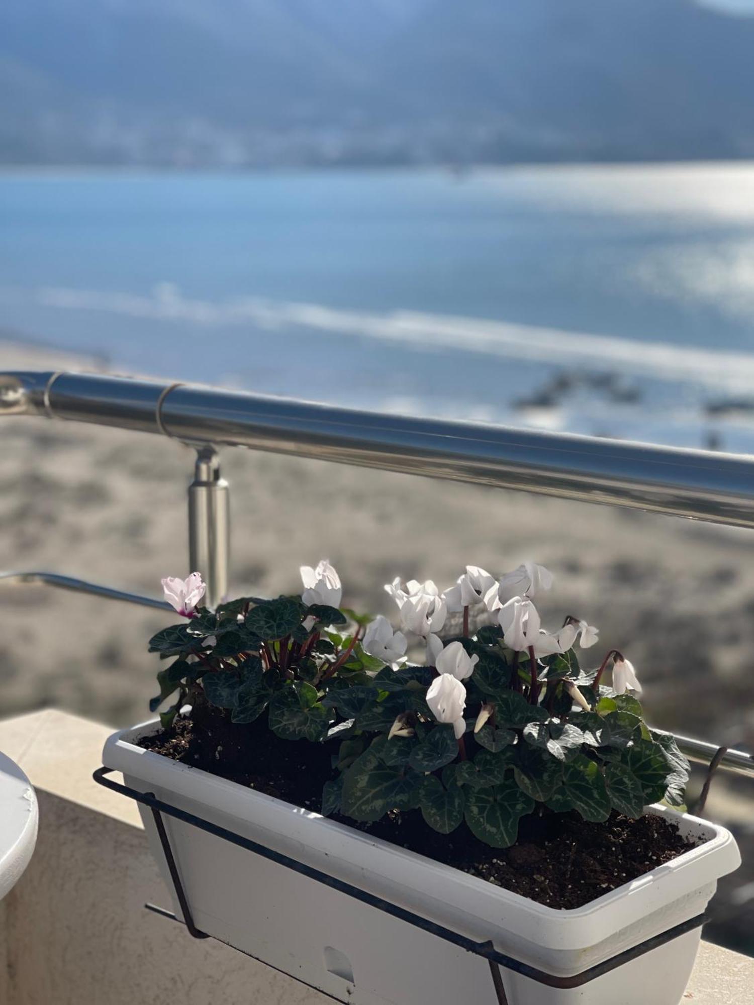 Seaview Apartments Rental Vlorë Esterno foto